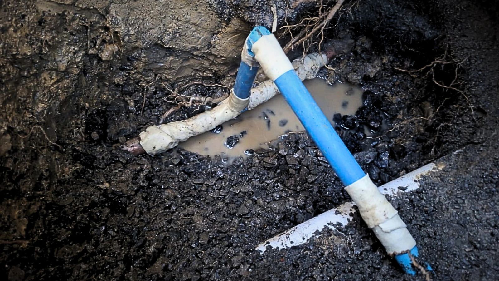 Water Leak Repairs Wellington