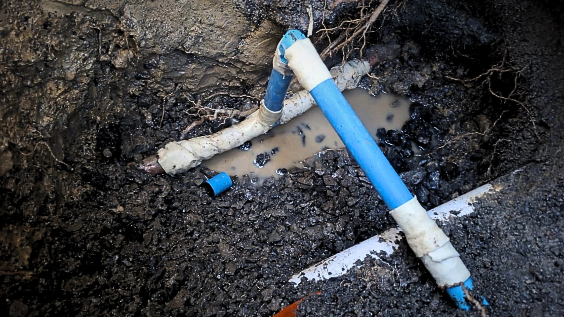 Water Leak Repairs Wellington